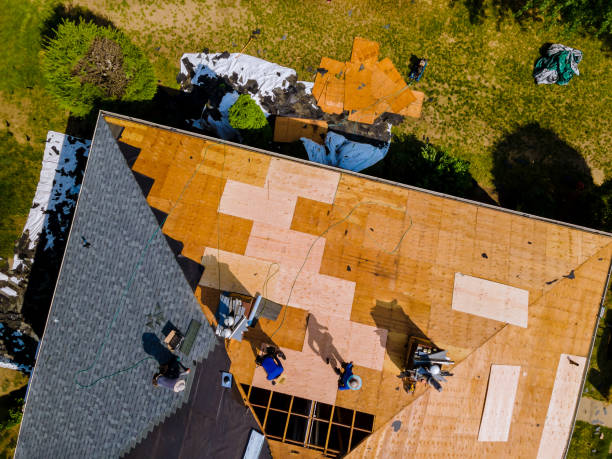 Best Roof Restoration Services  in Rtez, CO